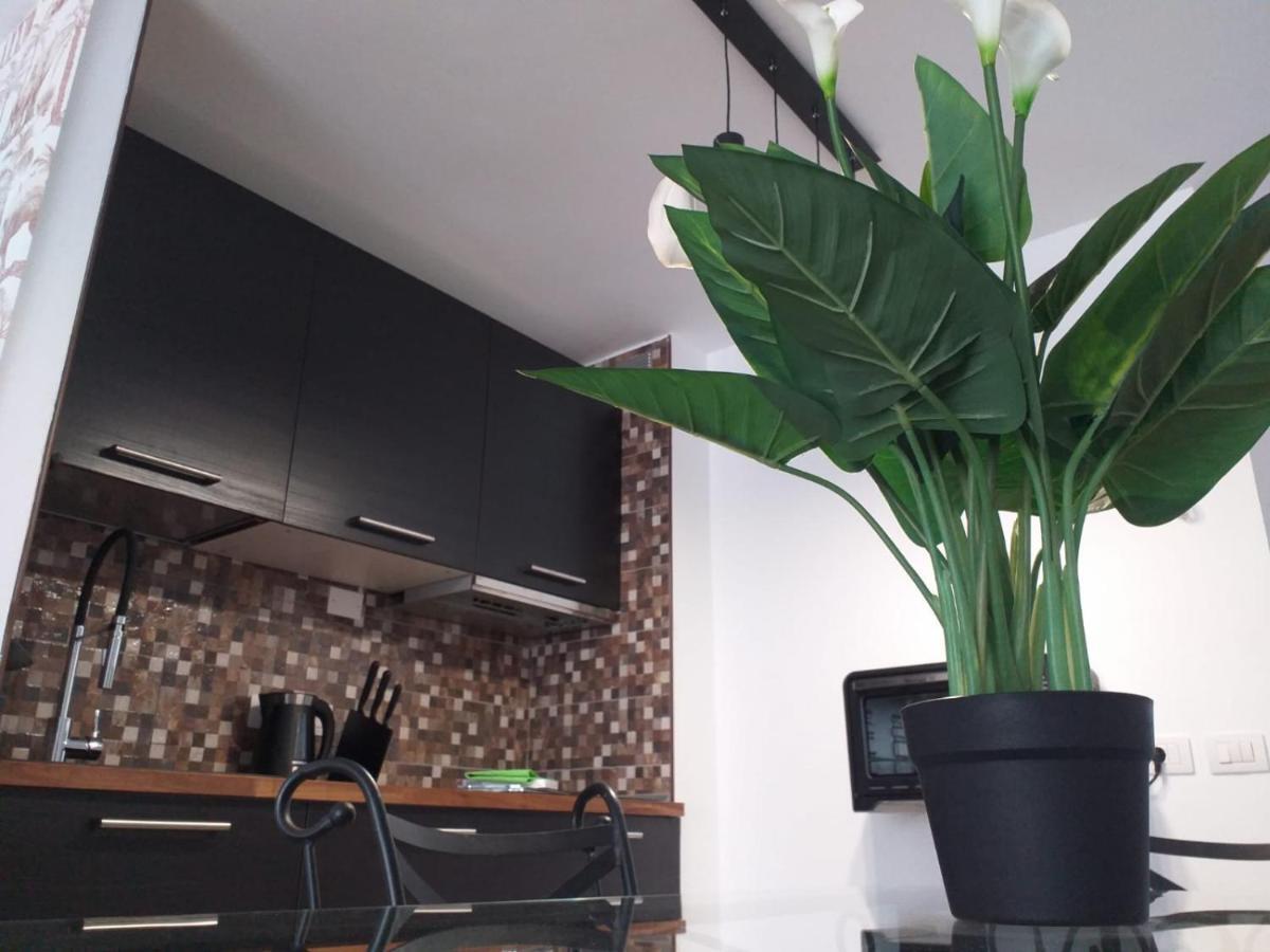 شقة كوراليهو  في Loft 113 المظهر الخارجي الصورة