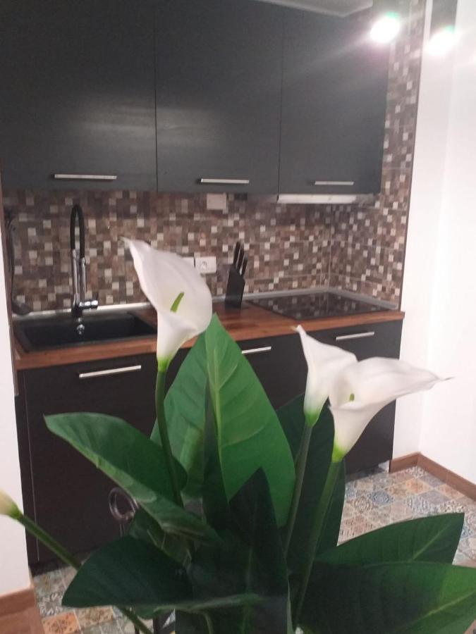 شقة كوراليهو  في Loft 113 المظهر الخارجي الصورة